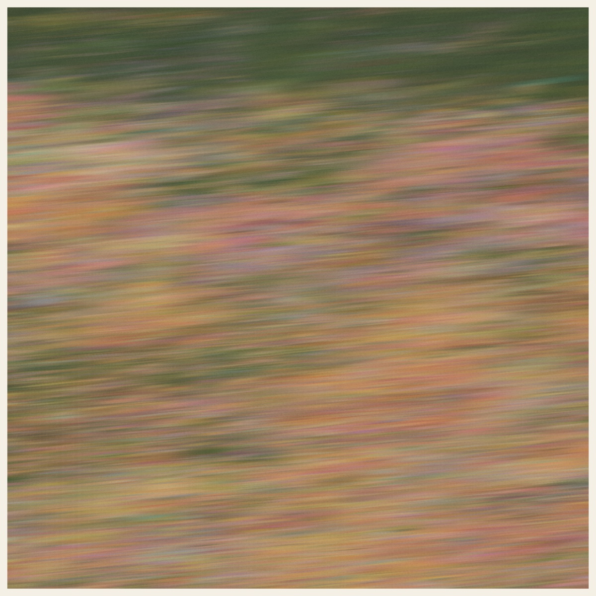 Smeared along the passenger side, seed 19312
